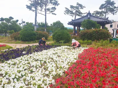 보성군, 상반기 직접 일자리 사업 참여자 대규모 모집