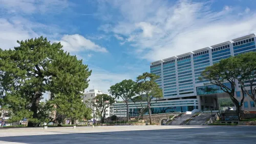 해남군, 논에 전략작물 재배 농가 대상 직불금 신청 접수