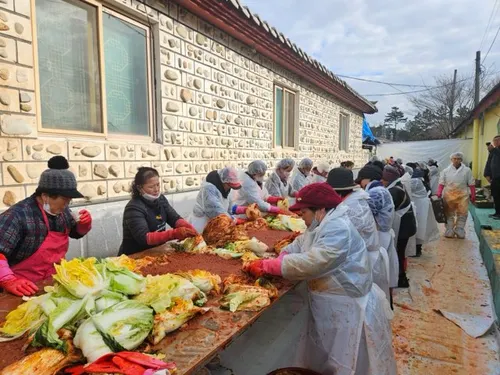 강진 남미륵사, 40년째 2만8천포기 김장 나눔으로 온정 전해