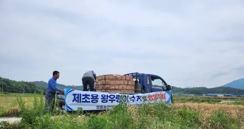 강진군, 왕우렁이 피해 예방에 총력…군비 1억 추가 편성 지원