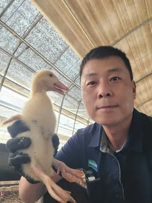 해상엔지니어 출석, 강진서 오리농장 ‘국화’ 피우다