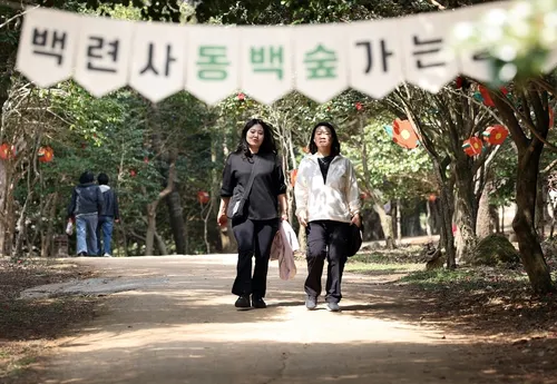 강진 백련사 동백축제, 사찰음식·힐링으로 '봄 축제' 성황리 마무리
