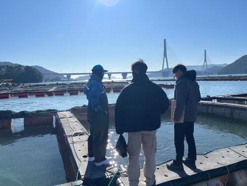 여수시, 저수온 주의보…가막만·여자만 양식장 비상