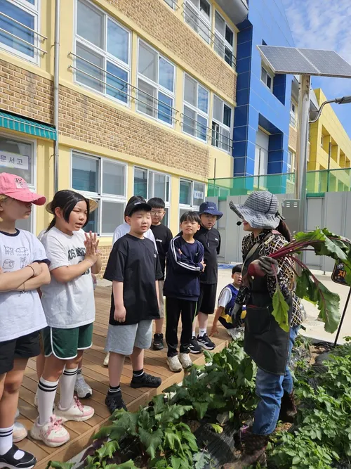 여수시, 초등학생 대상 ‘도시농부’ 양성…자투리텃밭 조성