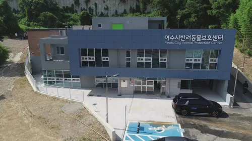 여수시, 2026년 길고양이 1천 마리 중성화수술 지원 나서