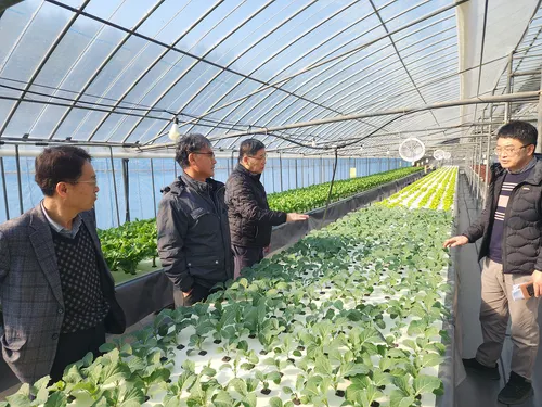 여수시, 학교급식 여수산 친환경농산물 공급 확대…생산기반 지원 총력