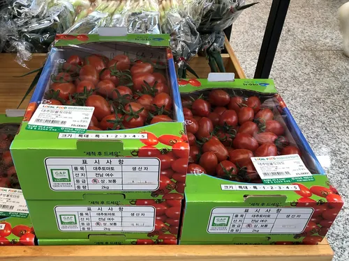 여수시, 안전한 먹거리 생산 위한 농산물우수관리(GAP) 인증 지원 본격화